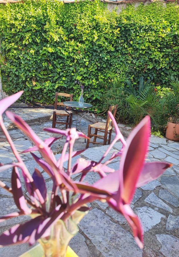 Liakoto Guest House Panayia Екстериор снимка